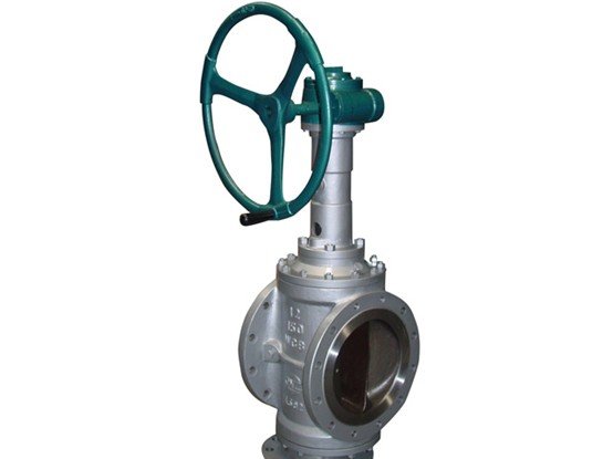 spceicl valve